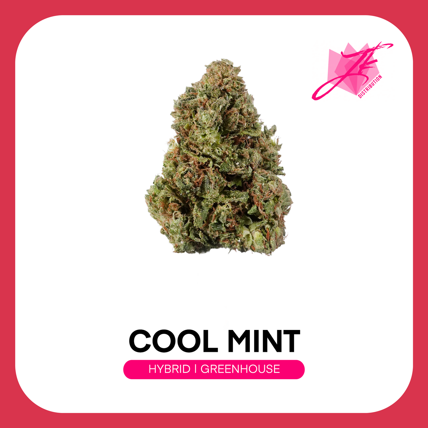 At JK Distro, we're committed to making premium hemp accessible to everyone. Cool Mint reflects our dedication to delivering exceptional THCA flower with refreshing flavor, outstanding quality, and dependable value for every type of consumer.
