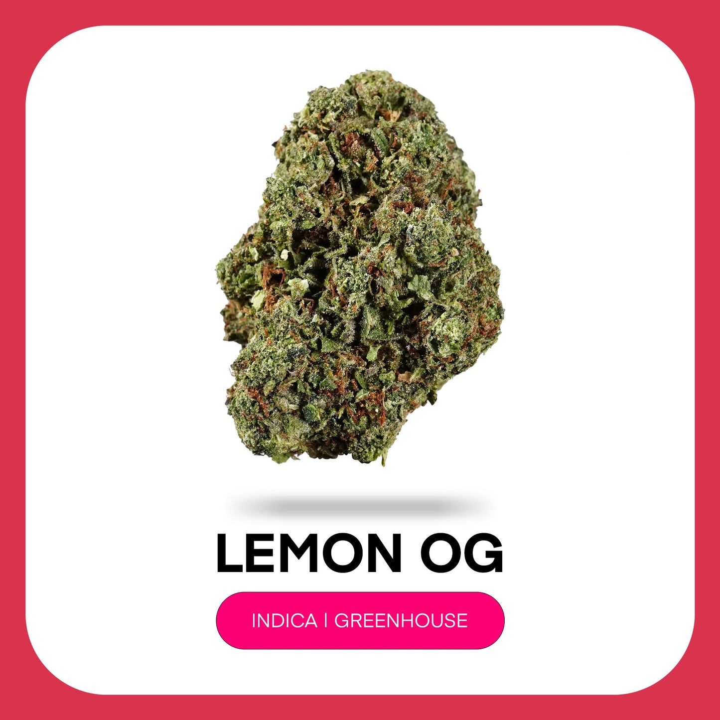 At JK Distro, we're committed to making premium hemp accessible to everyone. Lemon OG reflects our dedication to delivering high-quality THCA flower with vibrant citrus flavor, exceptional craftsmanship, and outstanding value for every type of consumer.