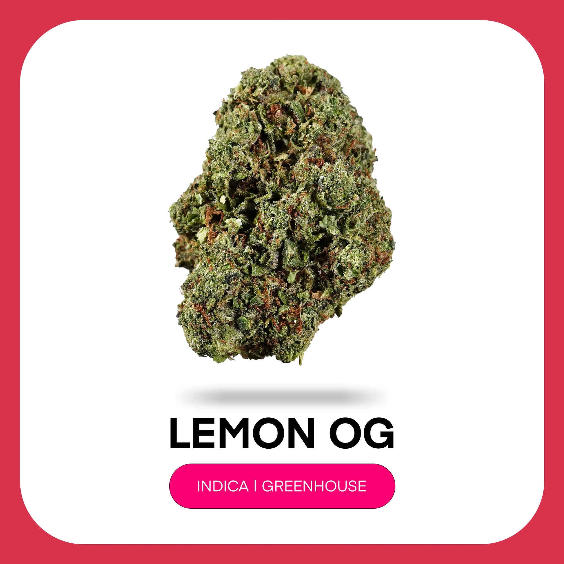 At JK Distro, we're committed to making premium hemp accessible to everyone. Lemon OG reflects our dedication to delivering high-quality THCA flower with vibrant citrus flavor, exceptional craftsmanship, and outstanding value for every type of consumer.