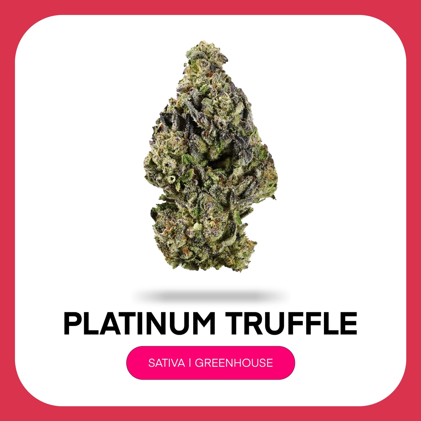 At JK Distro, we're committed to making premium hemp accessible to everyone. Platinum Truffle reflects our dedication to delivering exceptional THCA flower with outstanding flavor, quality, and value for every type of consumer.