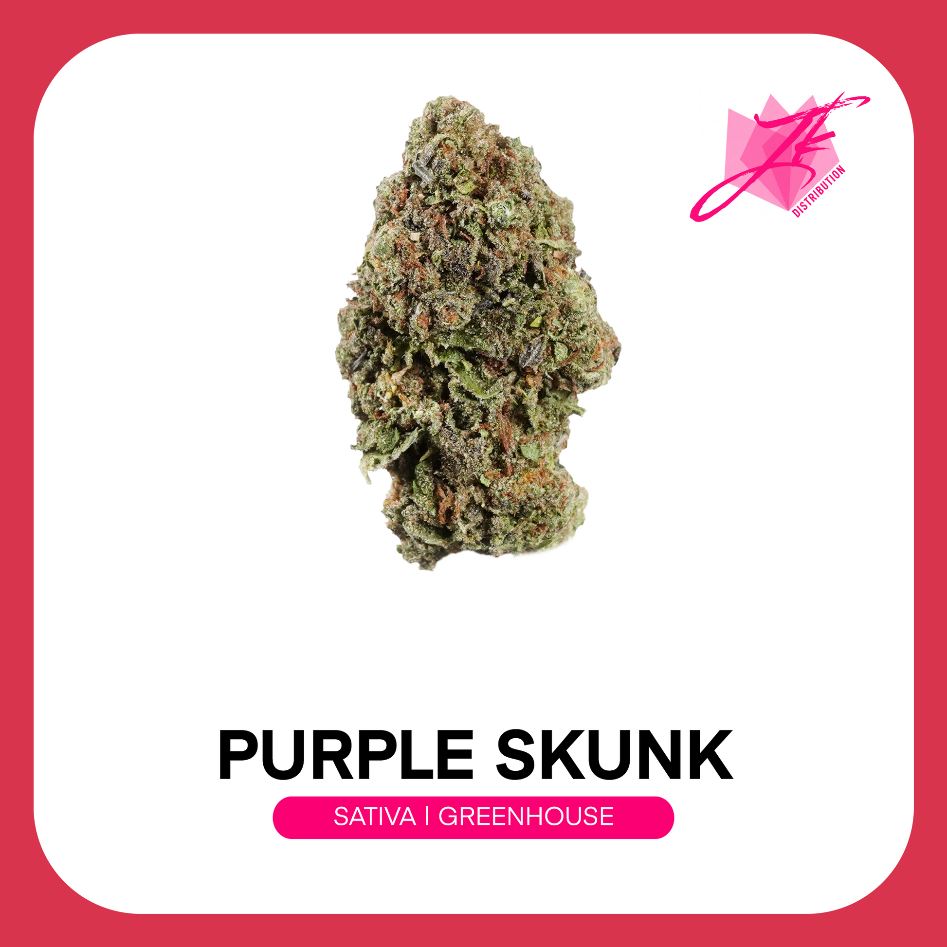 Discover the bold character of Purple Skunk THCA Flower from JK Distro, a standout strain that combines the unmistakable pungent aroma of classic skunk genetics with sweet berry notes and rich purple undertones. This terpene-rich cultivar delivers a flavorful experience that balances old-school cannabis character with modern flavor appeal.